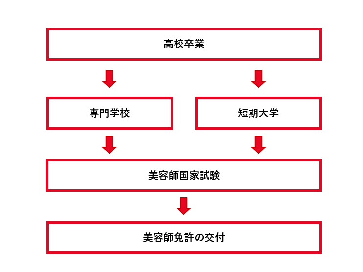 美容師免許 ロードマップ